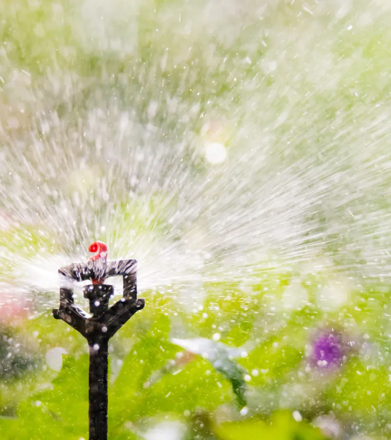 Red Málaga | Instalación de riego automático en jardin
